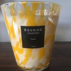 Baobab Large New Candle (Cintrus)